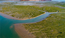 UNESCO adds four Korean tidal flats