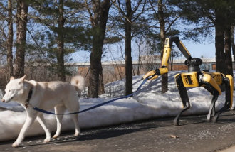 犬の散歩もこなすロボット犬、ＡＩ搭載で進化