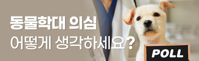 반려동물 POLL|반려동물 유기동물