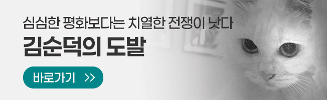 김순덕의 도발