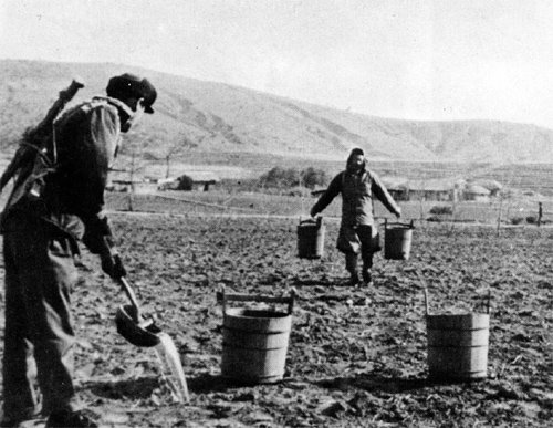 Excrement pickup was a high money business during Japanese colony