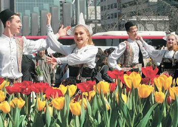 Come and See the Tulip Festival!