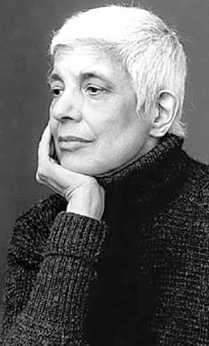 Susan Sontags Novels