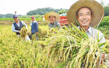 First Harvest: Signs of Fruitful Year