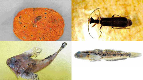 Have You Ever Seen Us?