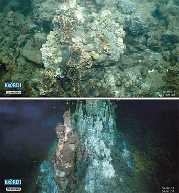 Deep-sea ecosystem on hydrothermal vents