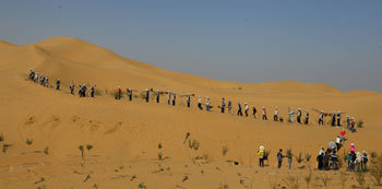 Planting 1 million trees