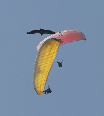 Flying with an eagle