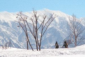 小説 雪国 の舞台 湯沢町 東亜日報