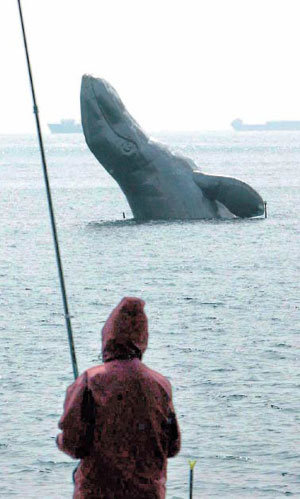 鯨を釣り上げた