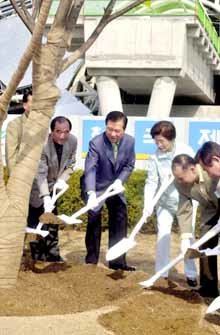 인천국제공항 기념 식수
