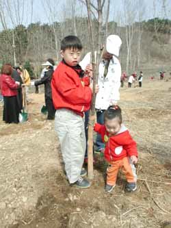 생명의 나무심기