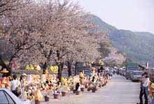 봄내음 맡을 수 있는 산길여행 (2)