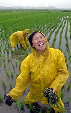 비 이렇게 좋을 수가