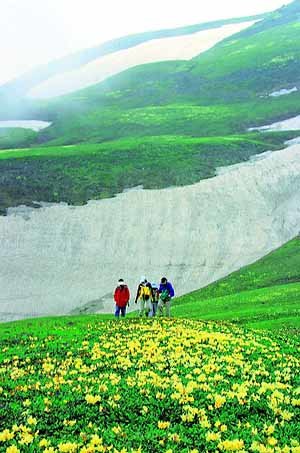 들꽃 천국 걸으며 백두산의 봄 만끽