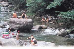 한방으로 이기는 여름건강법