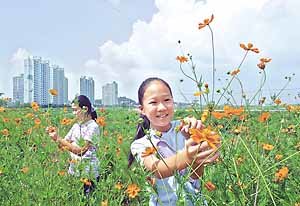 오늘  가을이 익는다