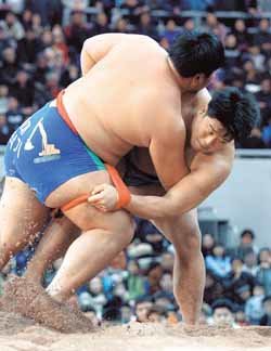 기술앞에 장사 없다