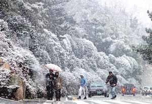 부산에도 화이트 크리스마스