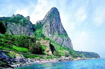 해안 절벽위서 밤바다를 보노라