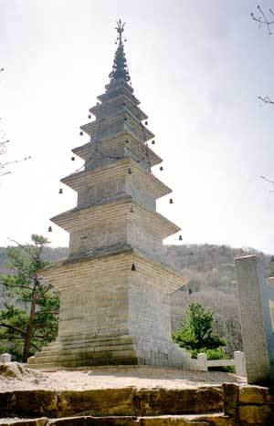 6일 저녁 8시 30분 일렬로 늘어선다