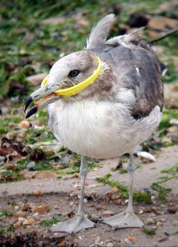 너무 너무 아파요