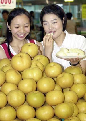 탐스러운 배가 벌써