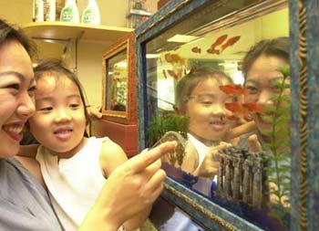 액자인줄 알았네