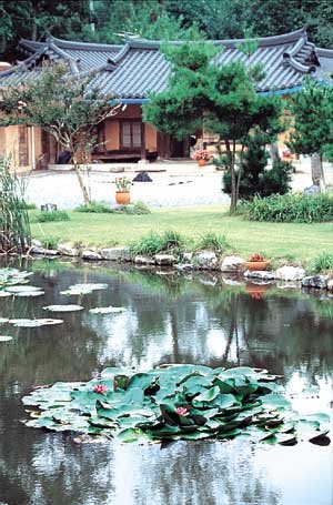 2만평에 펼쳐진 숲 산책로 캐빈