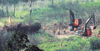 DMZ 경의선 부활의 꿈