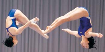 잠자던 한국다이빙 꿈같은 은