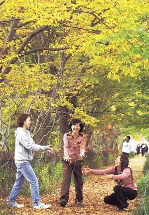 가을 절정 속으로