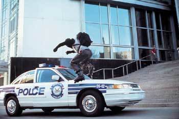 은행강도와 경찰의 스피드 대결