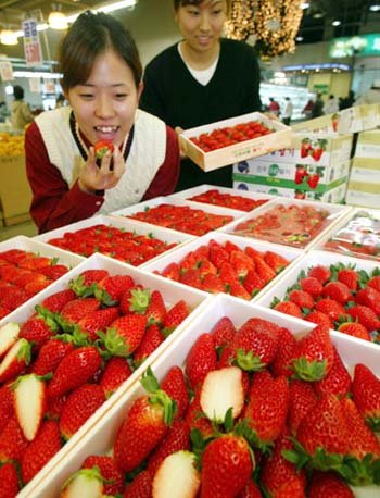 몸에 좋은 고로쇠 딸기 맛보세요