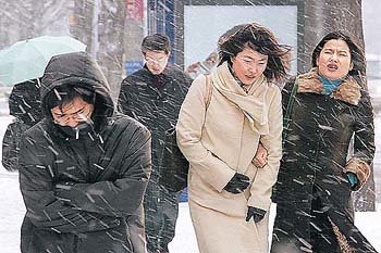 대낮 기습 눈보라