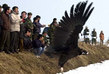 다시 자연 품으로