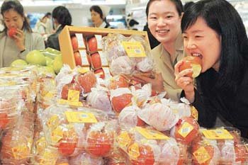 명품 사과 맛보세요