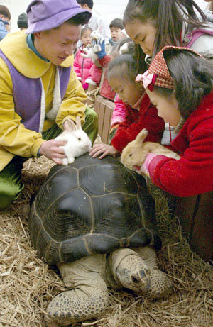 이솝우화 주인공 만나세요