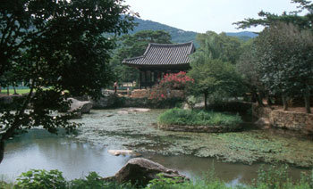 기차타고 꽃찾아 남으로 남으로