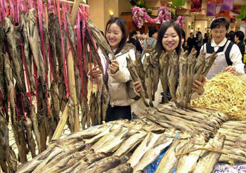 대관령 햇황태 나왔어요