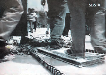 짓밟힌 대통령 조화