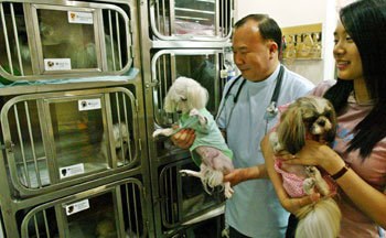 휴가 가실 때 애견 맡기세요