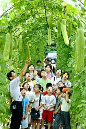 수세미 신기해요