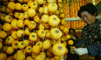 군침도는 곶감 말리기