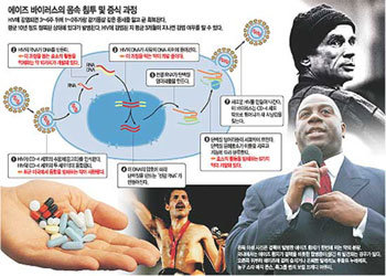 AIDS 정복의 꿈 \