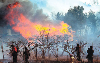 강원 화마 악몽