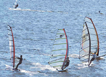 화창한 봄날 신나는 윈드서핑