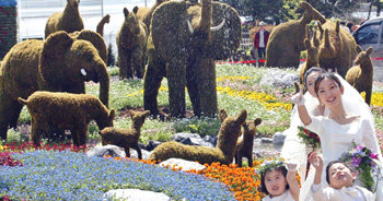 꽃 코끼리 보러오세요