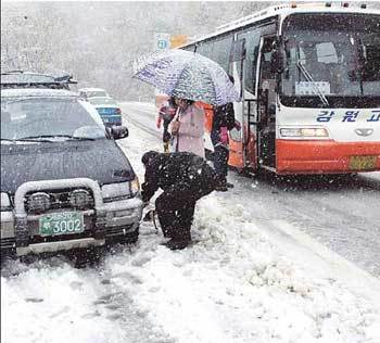 4월의 두 모습... 폭설