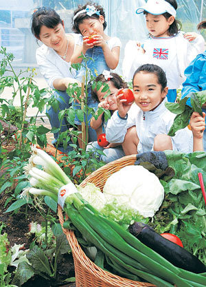 백화점 농장서 수확했어요